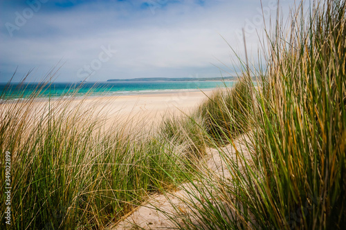 Grass and sand at the beach of Carbis Bay near St. Ives in Cornwall  UK