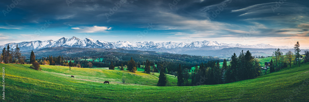 Panorama Tatr  - widok z Łapszanki 