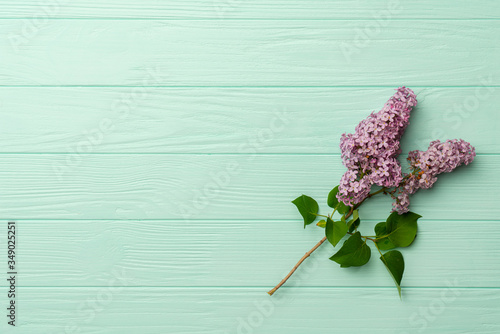 Lilac bush branch with blooming inflorescences. Deep purple lilac branch on turquoise background