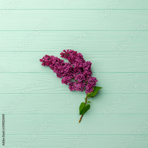 Spring lilac violet flowers, soft focus, turquoise background
