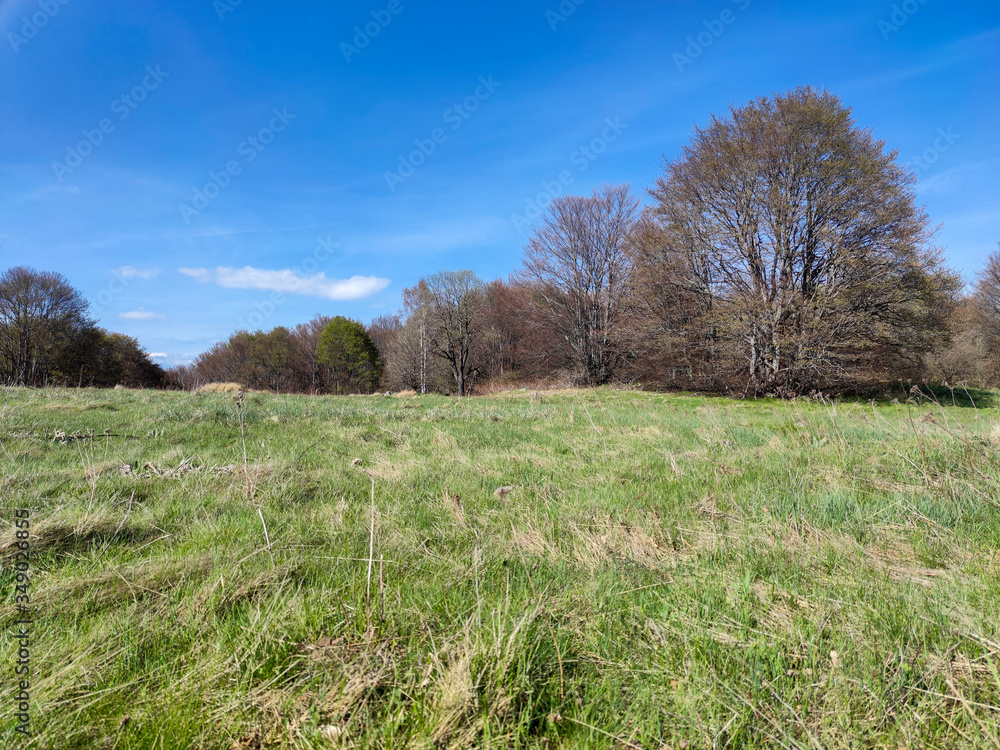 Spring view of Vitosha Mountain, Bulgaria Spring view of Vitosha Mountain, Bulgaria