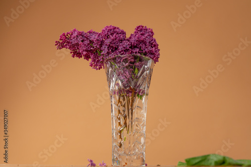 Branch of syringa, purple lilac in a small glass vase on the beige background