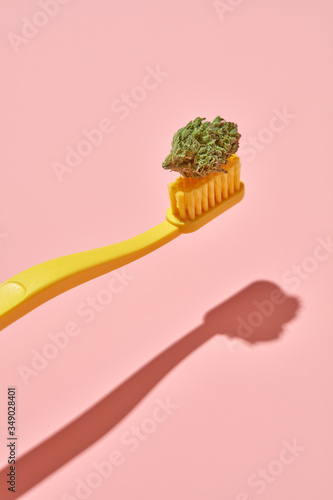Yellow Toothbrush in Pink Background with Shadow and Cannabis Nug Bud (ID: 349028401)