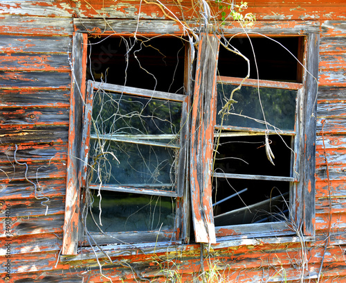 Decrepit Orange Windows photo