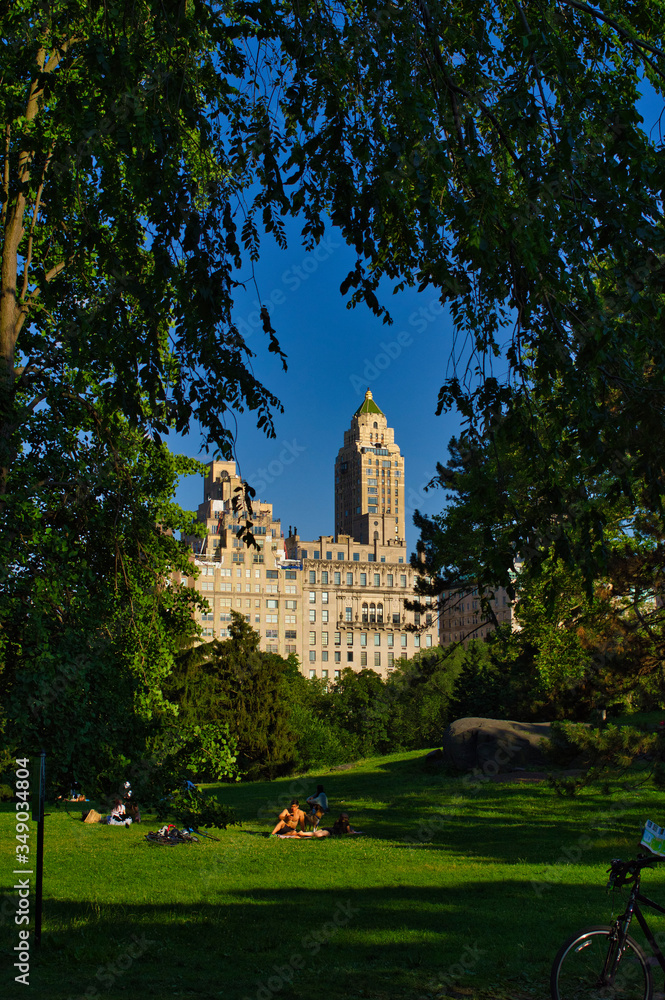 Fototapeta premium building front central park manhattan new york city USA