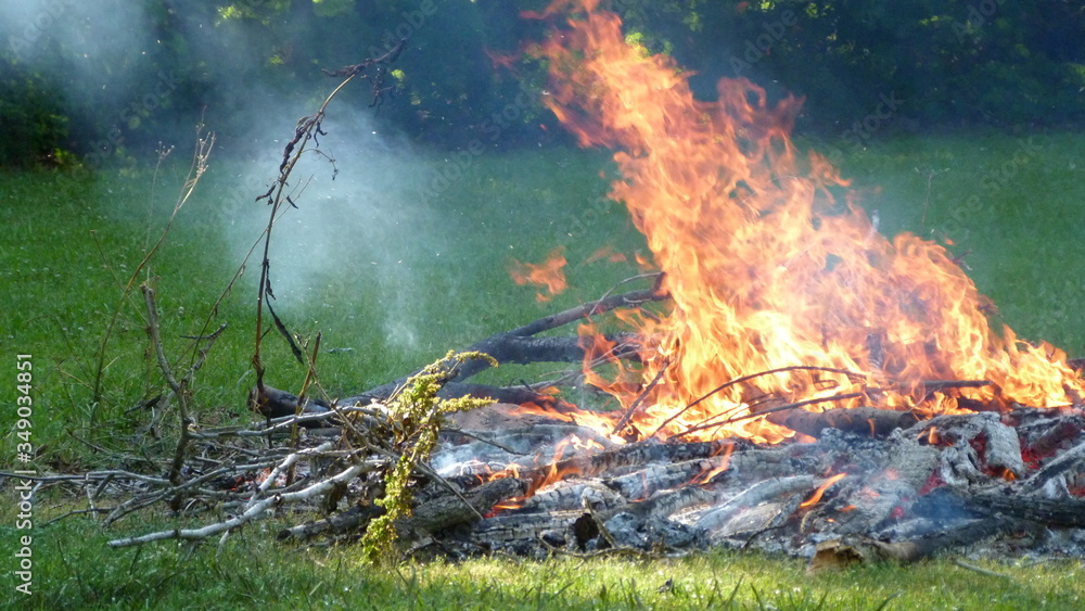 Flaming Bonfire, Burning Wood, Smoking Fire, Summer Fire