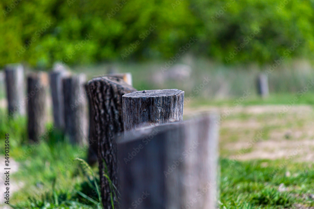 Wood fence stump background.Spring time, weathered wooden fence. Wood fence stump background.Spring time, weathered wooden fence.