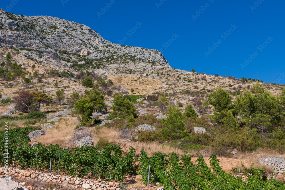 Landscape view from mountains above Ivan Dolac on Hvar island Landscape view from mountains above Ivan Dolac on Hvar island