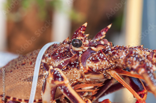 Fresh sea fish on ice ready for sale in a restaurant