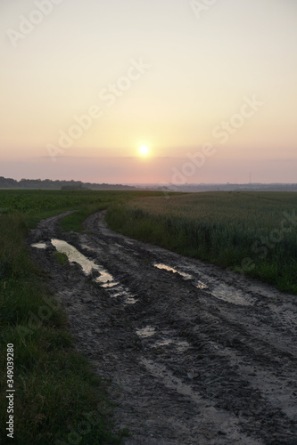 Magnificent dirt road outside the city in a field. Untidy groomed footpath in a meadow in spring. Stock background for design