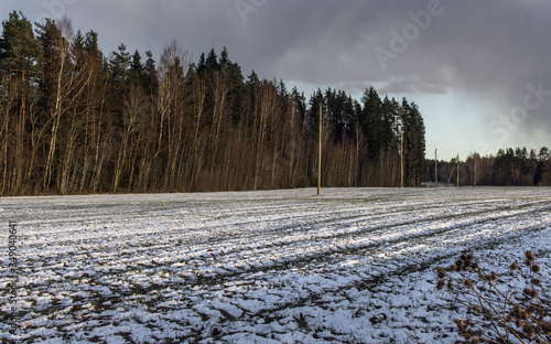 Meadow cowered with snow at sunset time