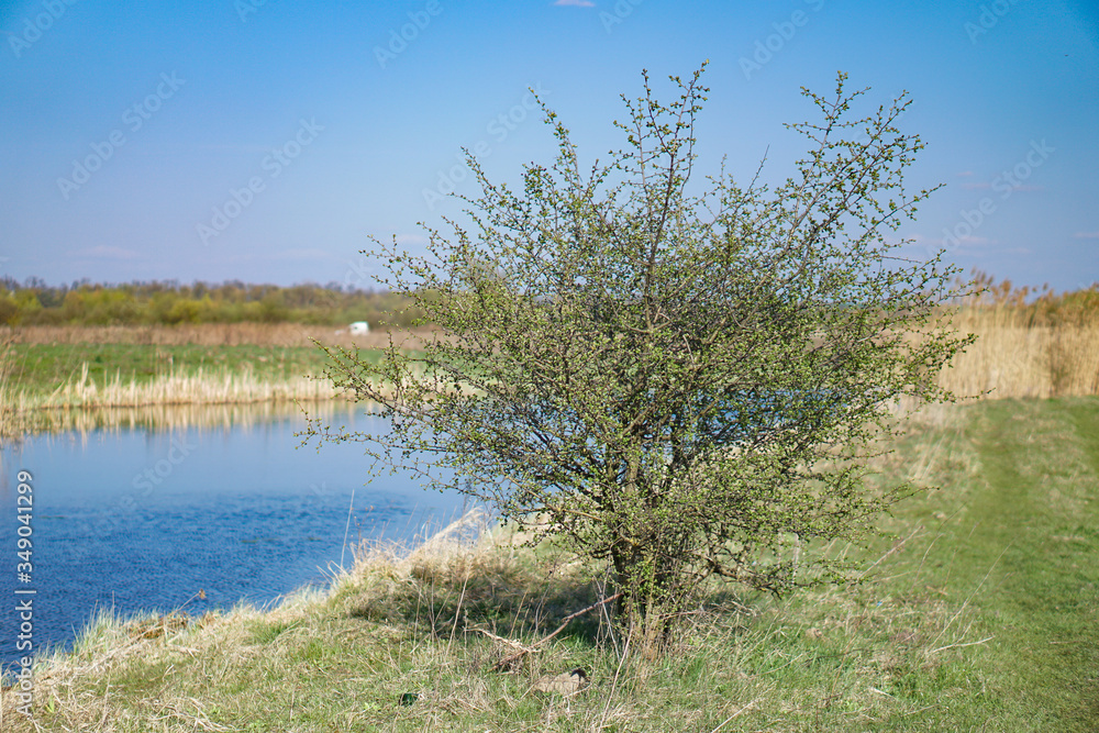 Beautiful spring river in the flowing nature. Colorful landscape in the morning and evening. Travel to deserted places of the world. Stock photo for design Beautiful spring river in the flowing nature. Colorful landscape in the morning and evening. Travel to deserted places of the world. Stock photo for design