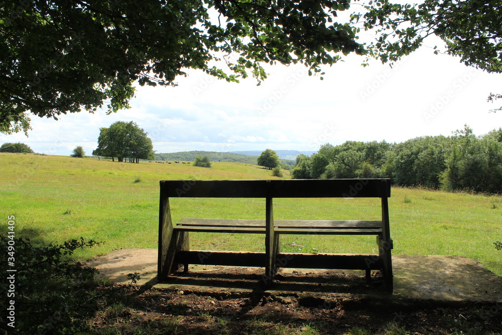 bench in the park