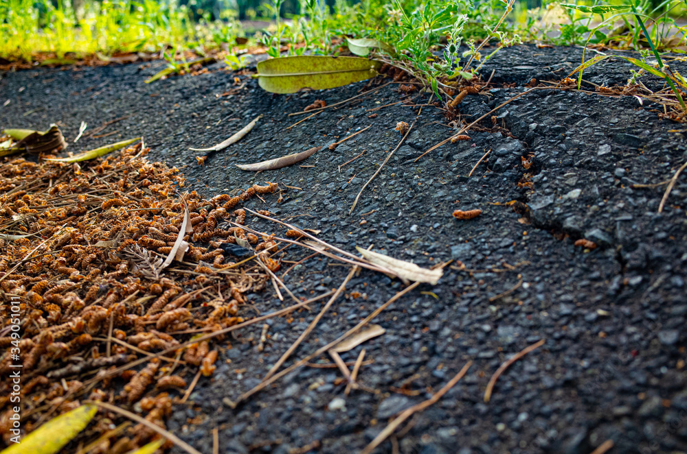 Obraz premium アスファルト