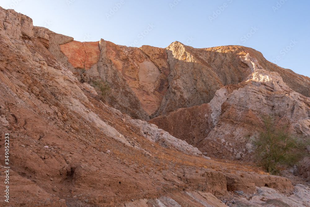 red rock hillside in the desert