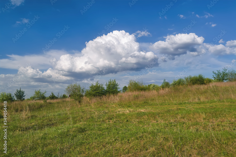 Landscape early spring trees with open leaves against the sky and white clouds.