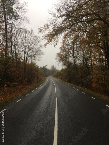  An empty street during autumn in Vittsjö after rain. © Sohaeb