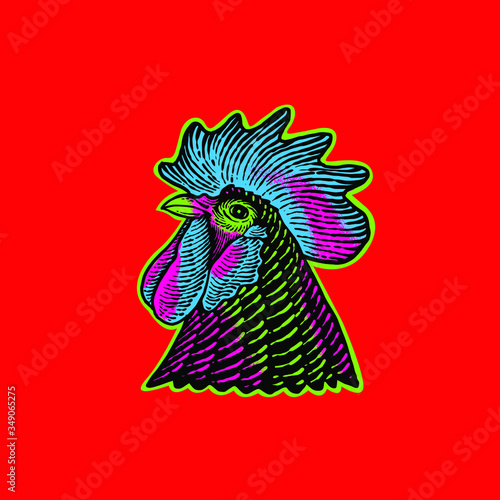Chicken head vector design 