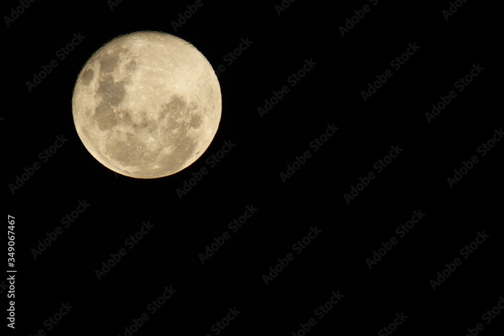 Fototapeta premium Moon 