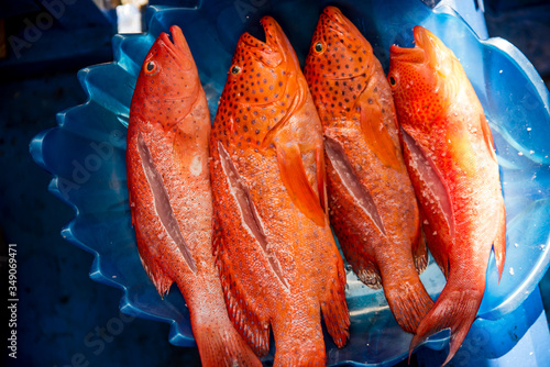 Fresh Lapu Lapu fish with salt ready to be grilled photo