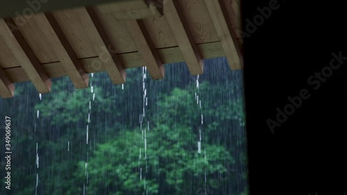 Very heavy rain falling during a storm in a forest in Osaka in Japan