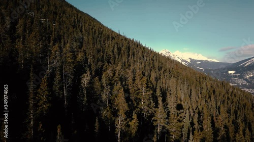 Banff Gondola Treetops and Mountains