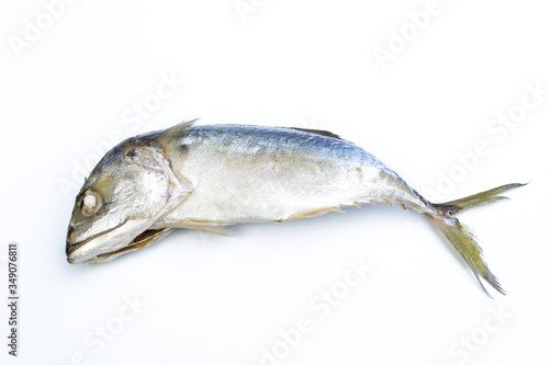 Mackerel fish(Rastrelliger brachysoma)isolated on white background.