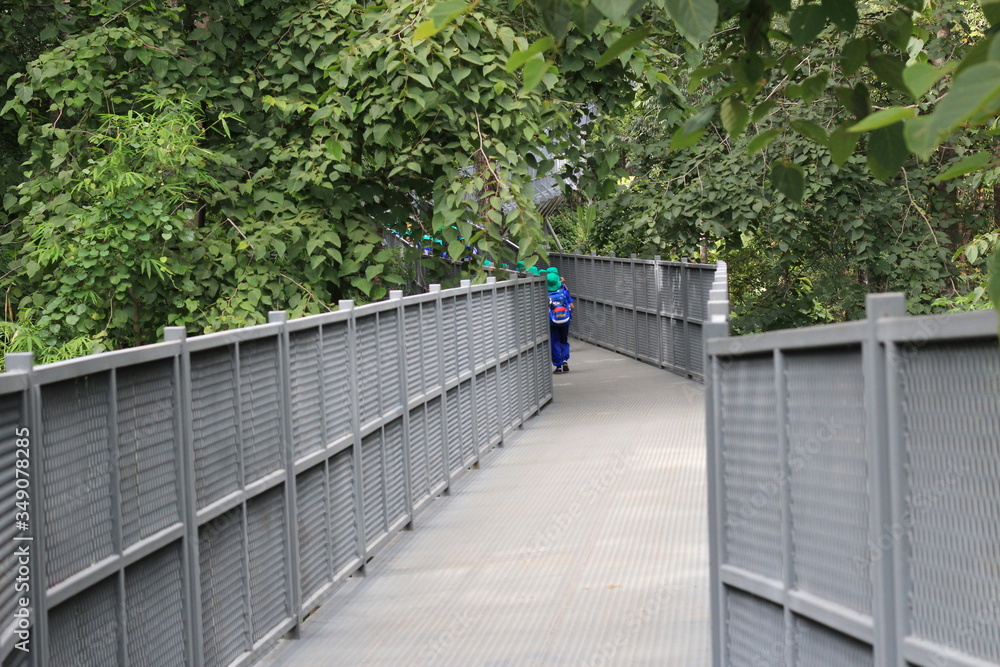 the grey canopy walkway bridge