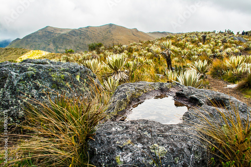 La cima de una montaña de paramo. Una roca con agua photo