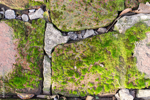 Textura de musgo verde sobre vieja vereda derruida