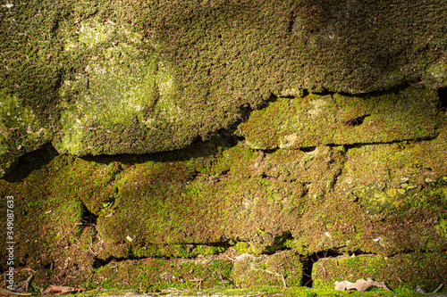 Vieja pared derruida con musgo verde