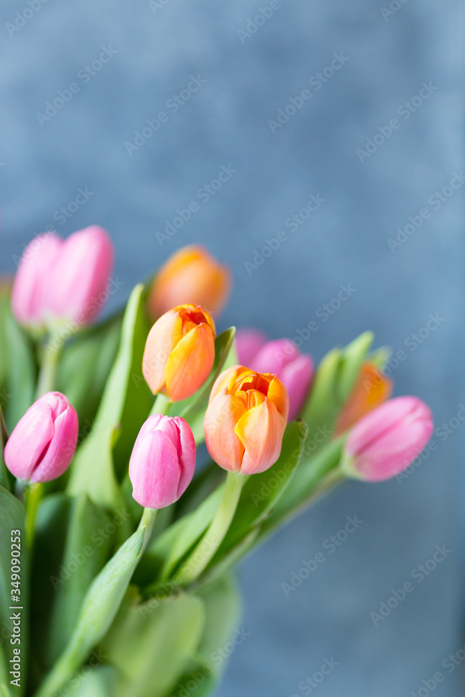 Fototapeta premium Close up of fresh bouquet bunch of pink rose orange tulips in vase. Copy space. Floral background. Postcard. Selective focus. Free space.