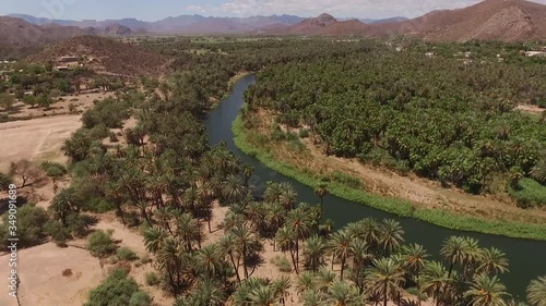 Oasis, río con palmera en Mulegé photo