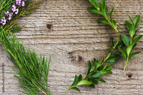 frame of pink flowers and greenery on wood background