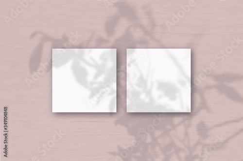 2 square sheets of white textured paper on the pink wall background. Mockup overlay with the plant shadows. Natural light casts shadows from an exotic plant.. Flat lay, top view