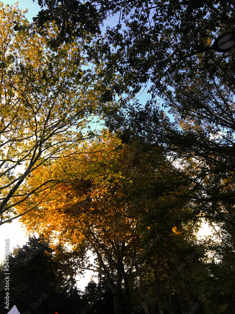 autumn in the park autumn in the park
