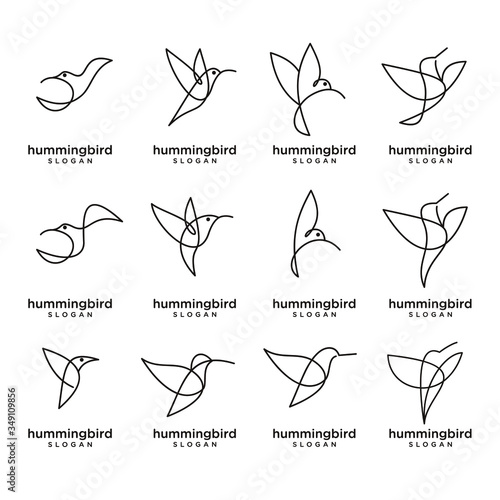 set collection Hummingbird line abstract simple modern logo isolated background