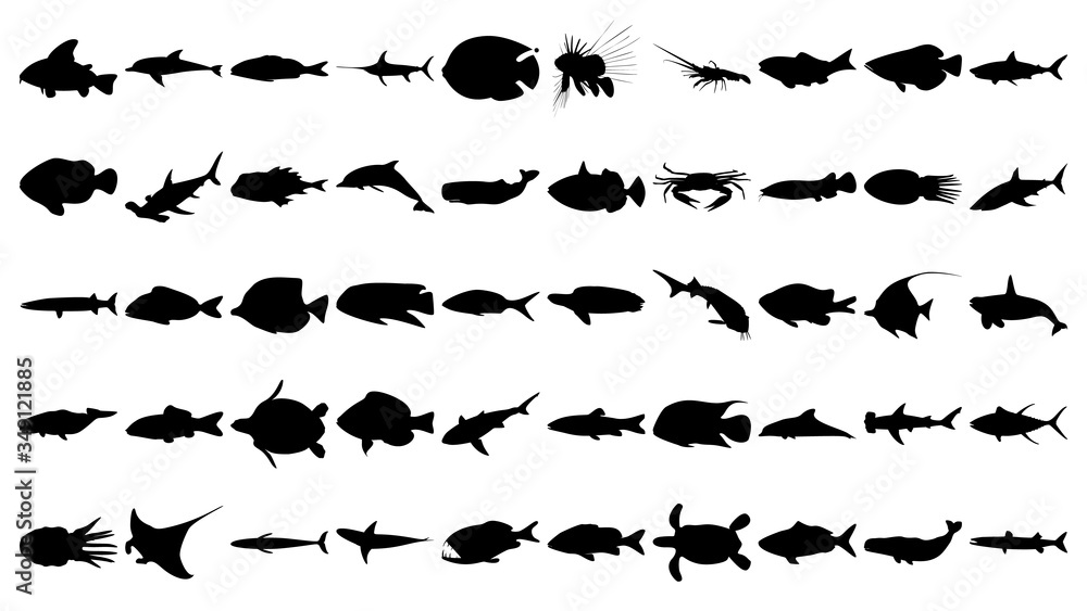 Vector set of 50 various fish and sea animals silhouettes. Vector set of 50 various fish and sea animals silhouettes.
