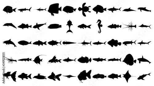Vector set of 50 various fish and sea animals silhouettes.