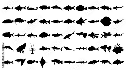 Vector set of 50 various fish and sea animals silhouettes.