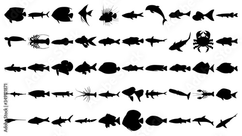Vector set of 50 various fish and sea animals silhouettes.