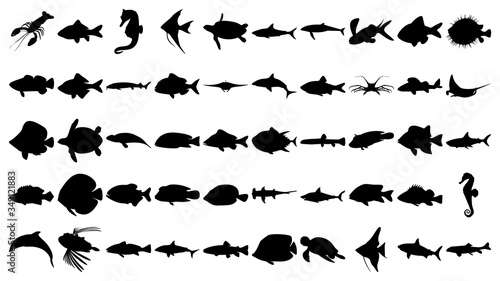 Vector set of 50 various fish and sea animals silhouettes.