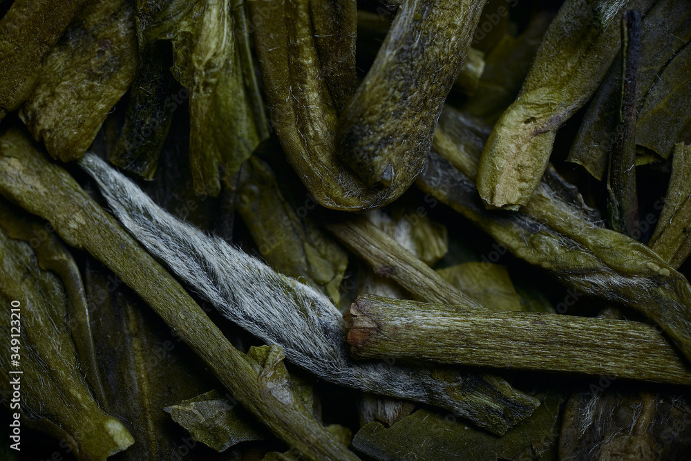 dry green tea leaves macro background