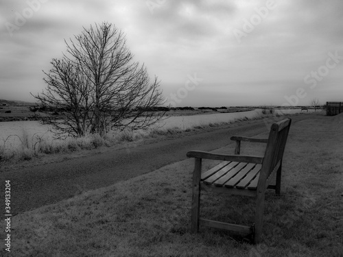 lonely bench in the snow