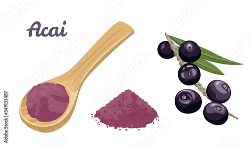 Acai berry powder in wooden spoon isolated on white background. Branch with fresh berries, green leaves and heap of powder. Vector illustration of healthy organic food in cartoon flat style.