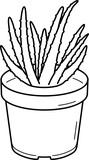 Aloe Vera clay pot