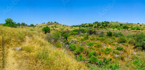 Panorama of Zavitan Stream, in Yehudiya Forest Nature Reserve