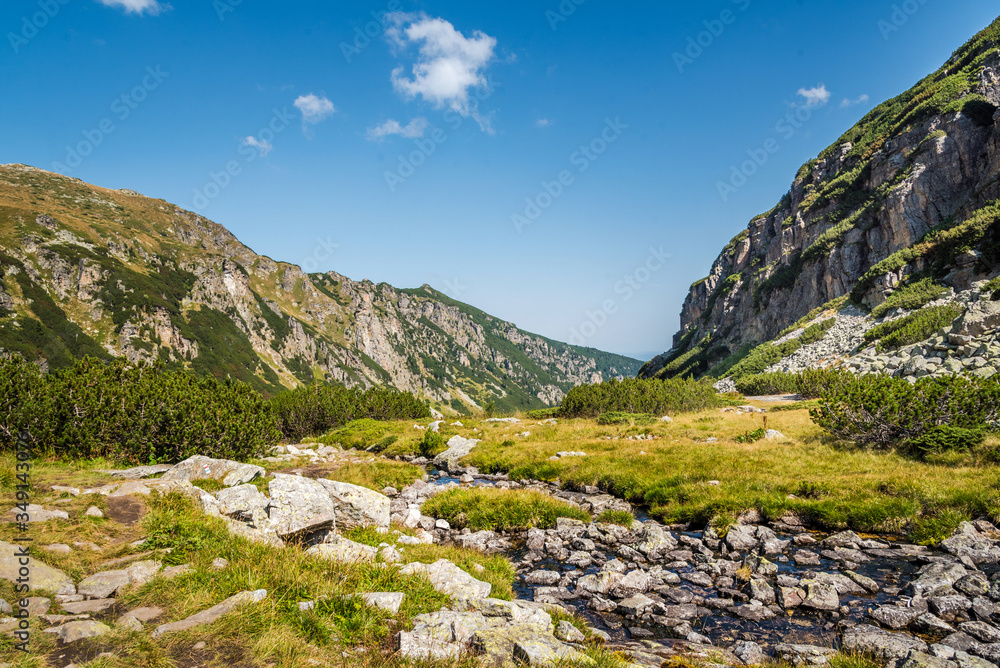 Beautiful summer mountain scenery. Green meadows and a mountain river. Summer mountain background. Rila mountain, Bulgaria