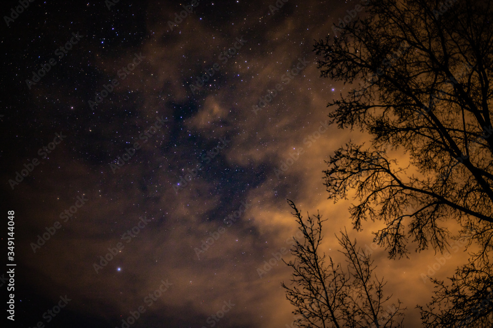 Night sky, stars, clouds and trees. Night sky, stars, clouds and trees.