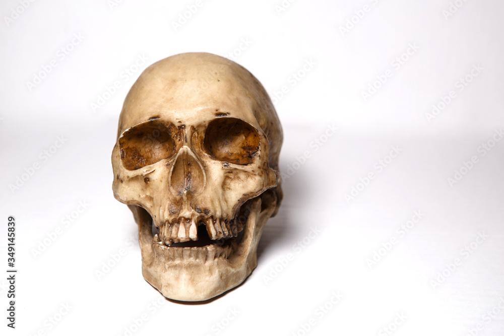 Human skull on a white background, isolate. Human skull on a white background, isolate.